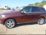 MERCEDES-BENZ ML 350 BLUETEC 4MATIC photo