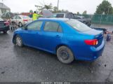 TOYOTA COROLLA LE photo