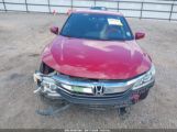 HONDA ACCORD SPORT photo