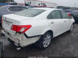 LEXUS ES 350 photo