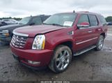 CADILLAC ESCALADE STANDARD photo