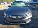 HONDA ACCORD EX-L photo