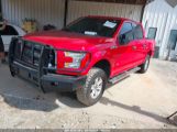 FORD F-150 XLT photo