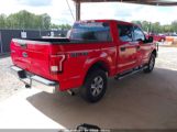 FORD F-150 XLT photo