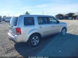 HONDA PILOT EX-L photo