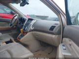 LEXUS RX 330 photo