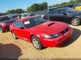 FORD MUSTANG photo