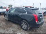 CADILLAC SRX LUXURY COLLECTION photo