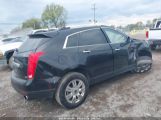 CADILLAC SRX LUXURY COLLECTION photo