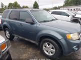 FORD ESCAPE XLT снимка