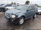 FORD ESCAPE XLT снимка