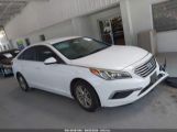 HYUNDAI SONATA photo