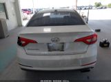 HYUNDAI SONATA photo