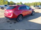 CADILLAC SRX PERFORMANCE COLLECTION снимка