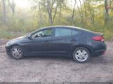 HYUNDAI ELANTRA SEL photo