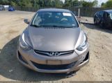 HYUNDAI ELANTRA SE photo