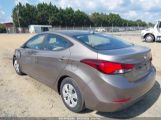 HYUNDAI ELANTRA SE photo