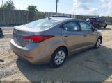 HYUNDAI ELANTRA SE photo