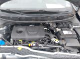 KIA RIO S photo