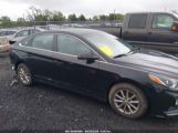 HYUNDAI SONATA SE photo