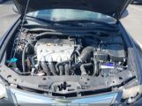 ACURA TSX 2.4 photo