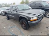 DODGE DAKOTA photo