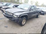 DODGE DAKOTA photo