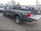 DODGE DAKOTA photo