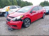 KIA FORTE EX photo