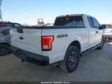 FORD F-150 XL 1FTFX1EG3HK****** снимка