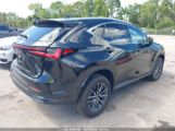 LEXUS NX 250 photo