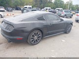 Ford Mustang Ecoboost 1FA6P8TH2H5300701 снимка