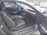 Ford Mustang Ecoboost 1FA6P8TH2H5300701 снимка