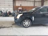 CADILLAC SRX LUXURY COLLECTION photo