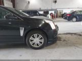 CADILLAC SRX LUXURY COLLECTION photo