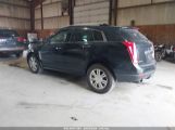 CADILLAC SRX LUXURY COLLECTION photo