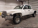 DODGE RAM 1500 3B7HF13Y8TG****** fotografie