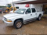 DODGE DAKOTA SLT photo