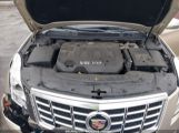 CADILLAC XTS LUXURY photo