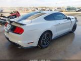 FORD MUSTANG ECOBOOST PREMIUM FASTBACK photo