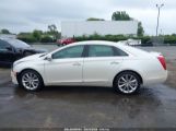 CADILLAC XTS LUXURY photo