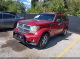 Dodge Nitro Slt/Rt 1D8GT58K67W719464 fotografie