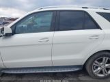 MERCEDES-BENZ ML 350 4MATIC photo