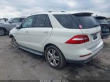 MERCEDES-BENZ ML 350 4MATIC photo