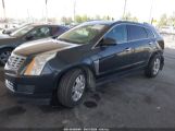 CADILLAC SRX LUXURY COLLECTION photo