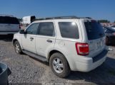 FORD ESCAPE XLT снимка