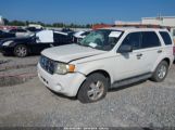 FORD ESCAPE XLT снимка