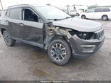 JEEP COMPASS TRAILHAWK 4X4 3C4NJDDB2KT****** photo