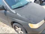 HONDA ODYSSEY EX photo