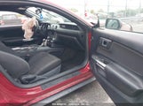 FORD MUSTANG V6 1FA6P8AM2G5****** fotografie